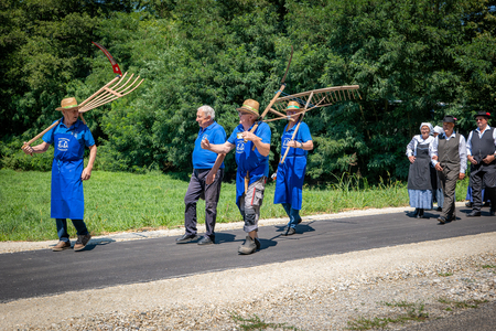Dobrovnik - 2000 semen - ZETEV 2025-1174604